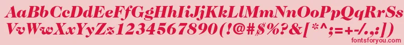 Шрифт Caslon224stdBlackitalic – красные шрифты на розовом фоне