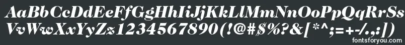Czcionka Caslon224stdBlackitalic – białe czcionki