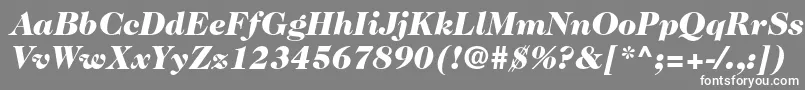 Caslon224stdBlackitalic-fontti – valkoiset fontit harmaalla taustalla