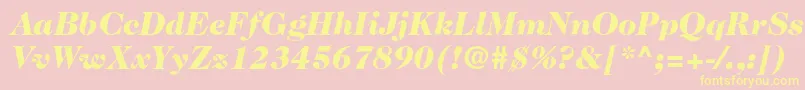 Caslon224stdBlackitalic Font – Yellow Fonts on Pink Background