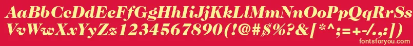 Caslon224stdBlackitalic Font – Yellow Fonts on Red Background