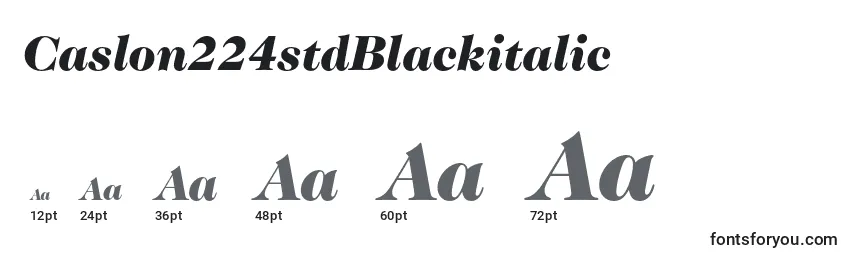 Caslon224stdBlackitalic Font Sizes