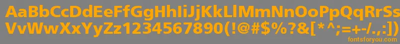 ForeignerBoldBold Font – Orange Fonts on Gray Background