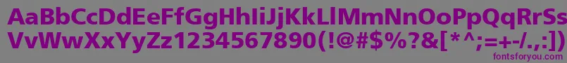 ForeignerBoldBold Font – Purple Fonts on Gray Background