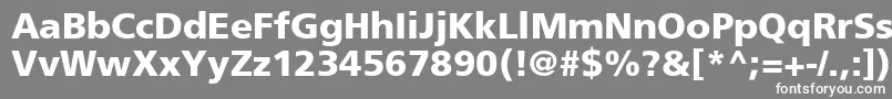 フォントForeignerBoldBold – 灰色の背景に白い文字