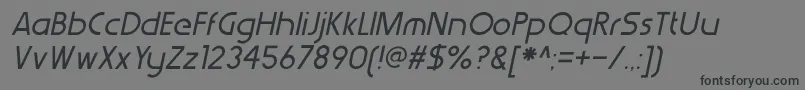 WerkhausItalic Font – Black Fonts on Gray Background