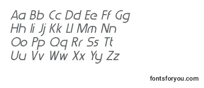 WerkhausItalic Font