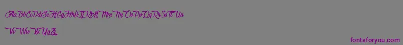 ChocolateAndDelight-Schriftart – Violette Schriften auf grauem Hintergrund