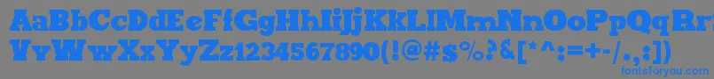 フォントMaxxiSerifBold – 灰色の背景に青い文字