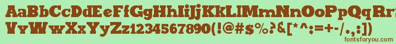 MaxxiSerifBold Font – Brown Fonts on Green Background