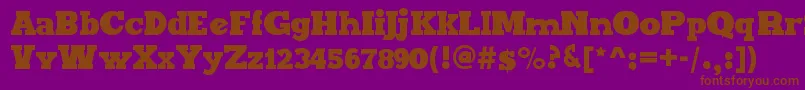 MaxxiSerifBold Font – Brown Fonts on Purple Background