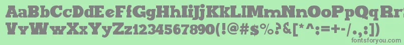 MaxxiSerifBold Font – Gray Fonts on Green Background