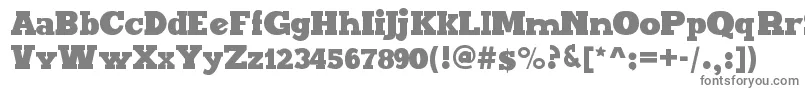 フォントMaxxiSerifBold – 白い背景に灰色の文字