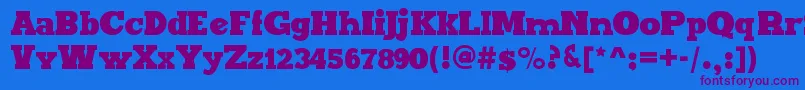 MaxxiSerifBold Font – Purple Fonts on Blue Background