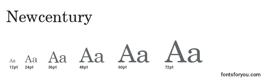 Newcentury Font Sizes