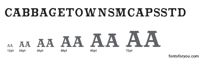 Cabbagetownsmcapsstd Font Sizes