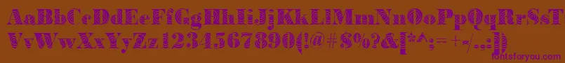 BodoniwindingRegular-Schriftart – Violette Schriften auf braunem Hintergrund