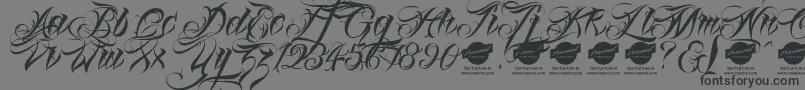 Linascriptaltdemo-Schriftart – Schwarze Schriften auf grauem Hintergrund