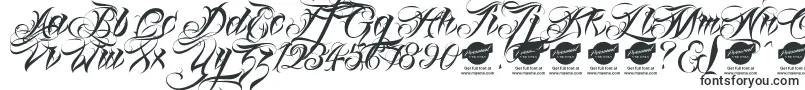 Linascriptaltdemo Font – Seductive Fonts