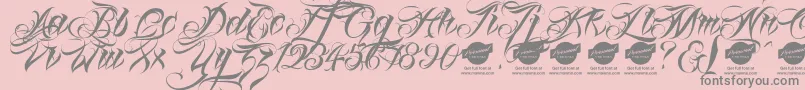 Linascriptaltdemo-Schriftart – Graue Schriften auf rosa Hintergrund