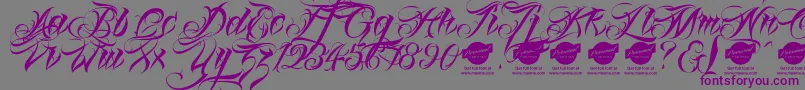 Linascriptaltdemo-fontti – violetit fontit harmaalla taustalla