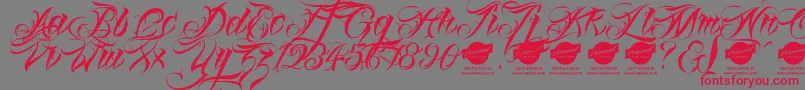 Linascriptaltdemo Font – Red Fonts on Gray Background