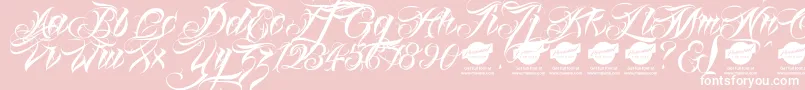 Linascriptaltdemo-Schriftart – Weiße Schriften auf rosa Hintergrund