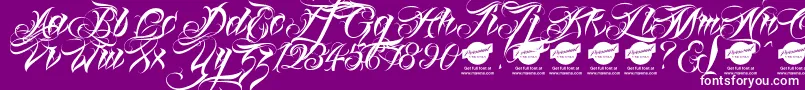 Linascriptaltdemo Font – White Fonts on Purple Background