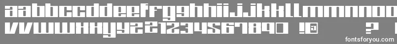 ZoneRegular-Schriftart – Weiße Schriften auf grauem Hintergrund