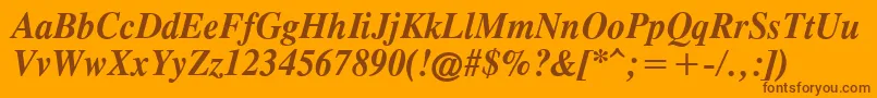 TimesCgAttBoldItalic Font – Brown Fonts on Orange Background