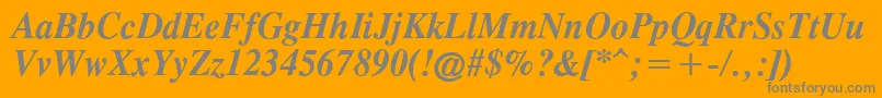 TimesCgAttBoldItalic Font – Gray Fonts on Orange Background