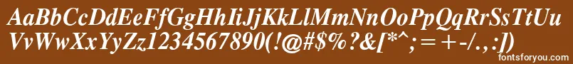 TimesCgAttBoldItalic Font – White Fonts on Brown Background