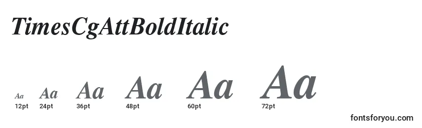 TimesCgAttBoldItalic Font Sizes