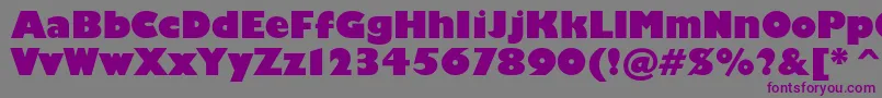 Humanist521cultraboldbt Font – Purple Fonts on Gray Background