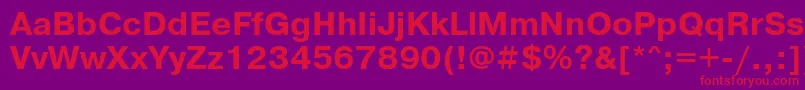 Prg75C Font – Red Fonts on Purple Background