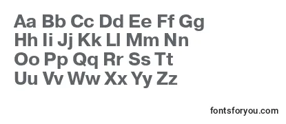 Обзор шрифта Prg75C