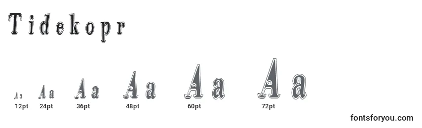 Размеры шрифта Tidekopr