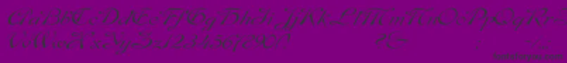 DobkinWdPlain Font – Black Fonts on Purple Background