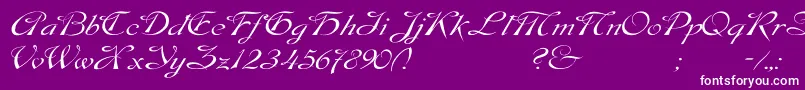 DobkinWdPlain-Schriftart – Weiße Schriften auf violettem Hintergrund