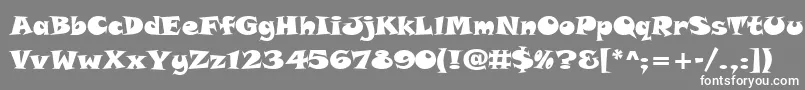TolstyakHeavy-Schriftart – Weiße Schriften auf grauem Hintergrund