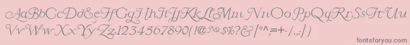 LarisaScript Font – Gray Fonts on Pink Background