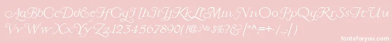 LarisaScript Font – White Fonts on Pink Background