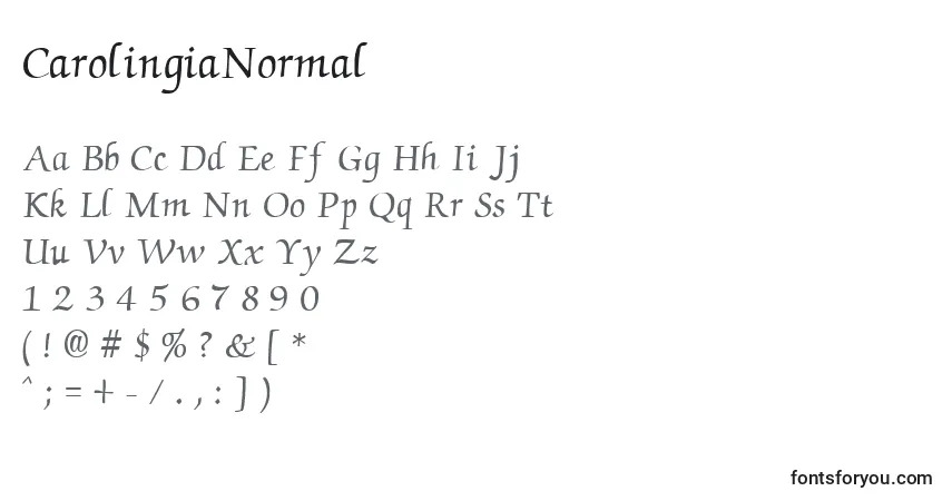 Czcionka CarolingiaNormal – alfabet, cyfry, specjalne znaki