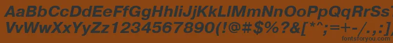 PragmaticawincttBolditalic Font – Black Fonts on Brown Background