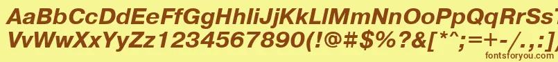 PragmaticawincttBolditalic Font – Brown Fonts on Yellow Background