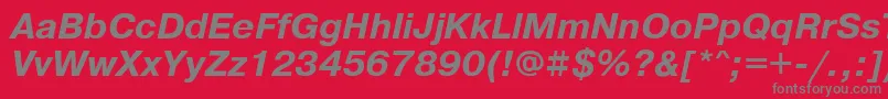 PragmaticawincttBolditalic Font – Gray Fonts on Red Background