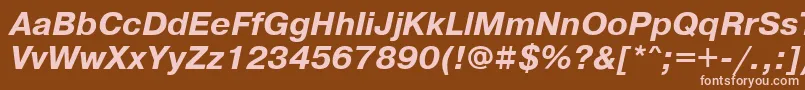 PragmaticawincttBolditalic Font – Pink Fonts on Brown Background