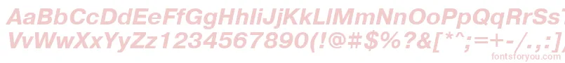 PragmaticawincttBolditalic Font – Pink Fonts on White Background