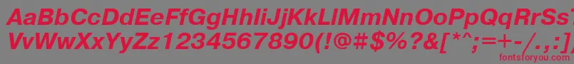 PragmaticawincttBolditalic Font – Red Fonts on Gray Background