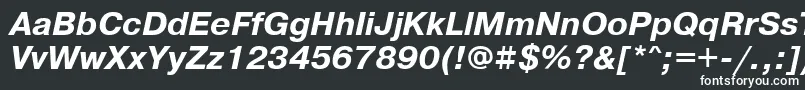 フォントPragmaticawincttBolditalic – 白い文字
